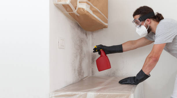 Professional Mold Remediation technician working in Garfield, TX