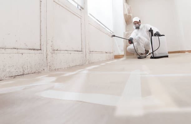 24/7 Emergency Mold Remediation experts in Garfield, TX